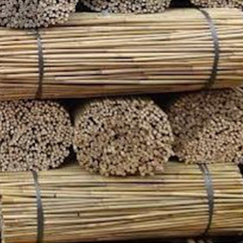 Bamboo Canes 8ft 18-20mm 100 pieces - Good To Grow NZ